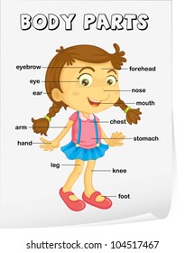 Vocabulary worksheet - parts of the body