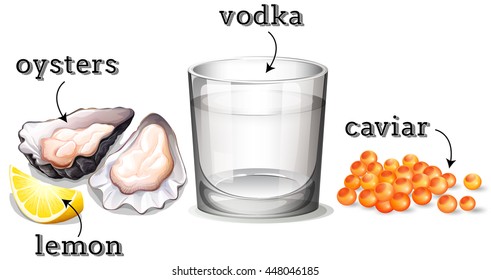 Vodka in glass and other ingredients illustration