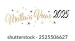 “Meilleurs voeux 2025” : Best wishes 2025 in french language