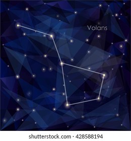 Volans constellation in night sky, background is a triangulation.