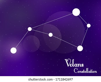 Volans constellation. Starry night sky. Cluster of stars, galaxy. Deep space. Vector illustration