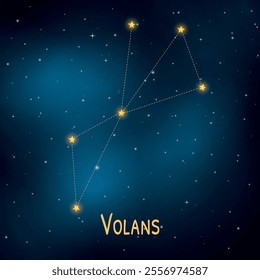 Volans constellation in a starry night sky background.