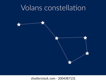 Volans zodiac constellation sign with stars on blue background of cosmic sky. Vector illustration