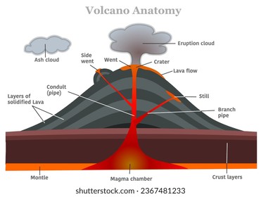 Volcano diagram anatomy. Parts formation. Magma, chamber conduits, vent ,craters, slopes, volcanic, eruptions lava explosion, structure, occur ash clouds tephra. illustration vector