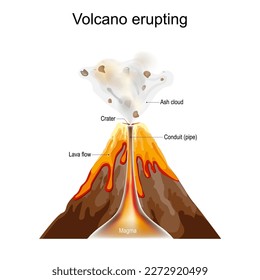 volcano eruption. Cross section of volcano with Crater, Ash cloud, Lava flow, Magma, Conduit or pipe. Vector poster