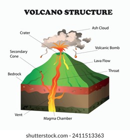 Volcano structure diagram. Volcanic eruption. Science education 3d illustration