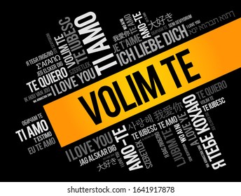 Volim te ( I Love You in Croatian) word cloud in different languages of the world