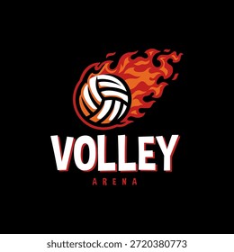 Ilustración de icono de Vector de logotipo de llama de fuego de bola de volea