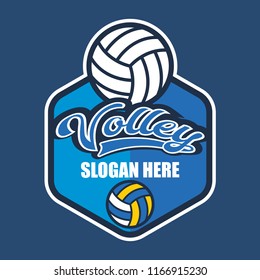 volley ball logo with text space for your slogan / tag line, vector illustration
