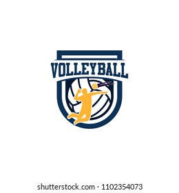 Volleyball badge design logo emblem. Sport emblem insignia templates on a light background