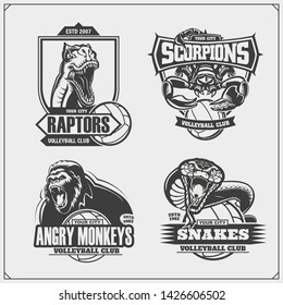 Volleyball badges, labels and design elements. Sport club emblems with gorilla, cobra, raptor dinosaur and scorpion. Print design for t-shirt.