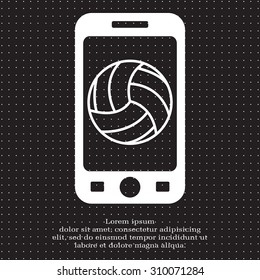 volleyball ball
