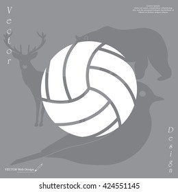 volleyball ball