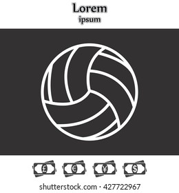 volleyball ball