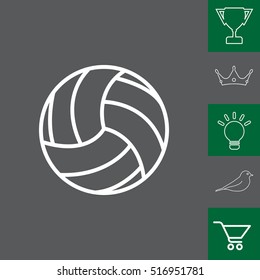 volleyball ball