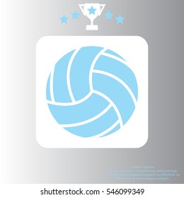 volleyball ball