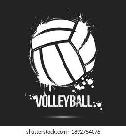 15,418 Volleyball Logo Stock Vectors, Images & Vector Art | Shutterstock