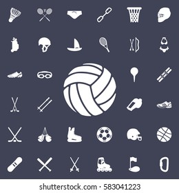 volleyball ball icon. Sport set of icons