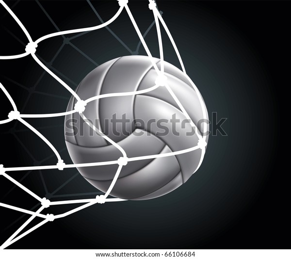 Volleyball Ball Set 3 Vector Drawing Stock Vector (Royalty Free) 66106684