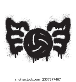 Volleyball ball and wings with black spray paint