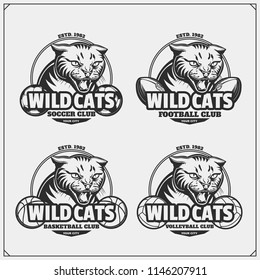 Volleyball, baseball, soccer and football logos and labels. Sport club emblems with wild cat. Print design for t-shirt.