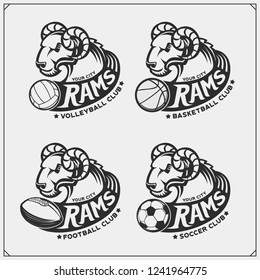 Volleyball, basketball, football and soccer emblems with rams. Design elements for sport club. Print design for t-shirts.