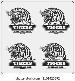 Volleyball, basketball, soccer and football logos and labels. Sport club emblems with tiger. Print design for t-shirt.