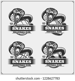 Volleyball, basketball, soccer and football logos and labels. Sport club emblems with snakes.