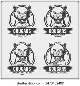 Volleyball, basketball, soccer and football logos and labels. Sport club emblems with cougars. Print design for t-shirts.