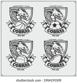 Volleyball, basketball, soccer and football logos and labels. Sport club emblems with king cobra. Print design for t-shirt.