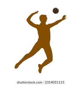 Volleyball Club Logo Badge  Label  used for volleyball team