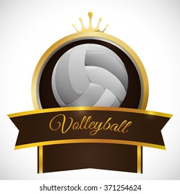 Volleyball icon design 