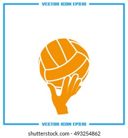 volleyball Icon Vector