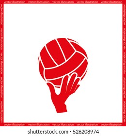 volleyball Icon Vector