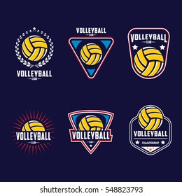 Volleyball logo