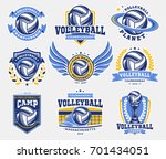 Volleyball logo, emblem set collections, designs templates on a light background