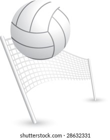 volleyball and net