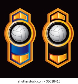 volleyball on royal style displays