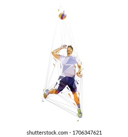 Jugador de voleibol, bajo polo aislado ilustración vectorial. Atleta deportivo de equipo geométrico