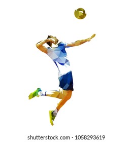 13,183 Volleyball player icon Images, Stock Photos & Vectors | Shutterstock