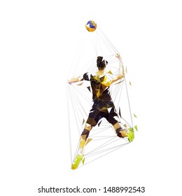 Volleyball Player Smashes Ball Isolated Vector Stock Vector (Royalty ...