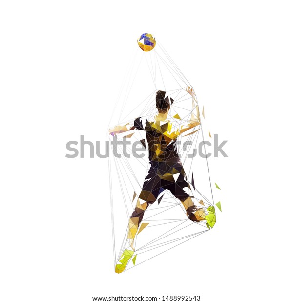 Volleyball Player Smashes Ball Isolated Vector Stock Vector (Royalty ...