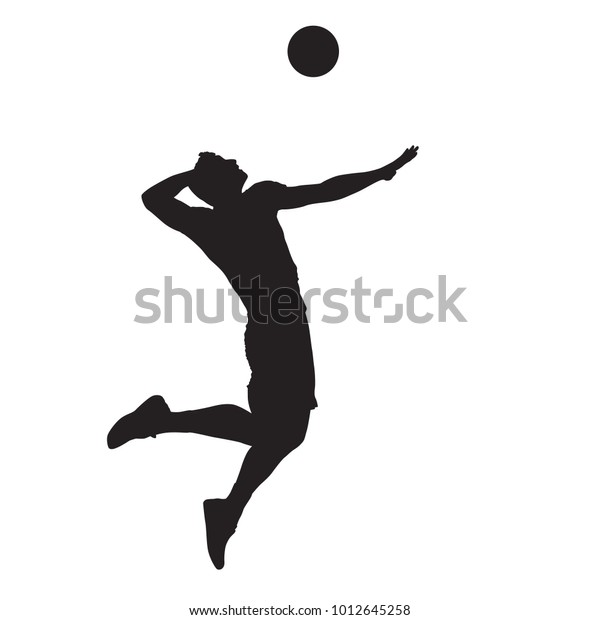Volleyball Player Spiking Ball Isolated Vector Stock Vector (Royalty ...