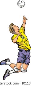 volleyball - serve the ball