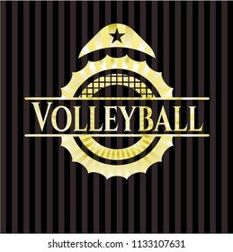 Volleyball shiny badge