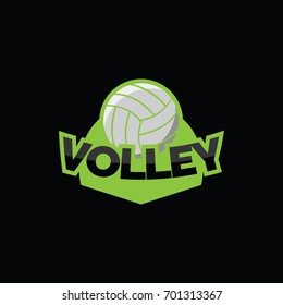 Volleyball sport team logo vector