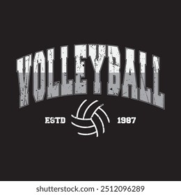 Volleyball vector illustration and typography, perfect for t-shirts, hoodies, prints etc.