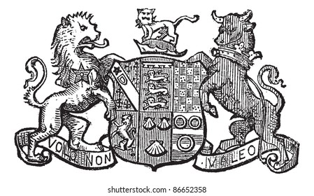 Volo Non Valeo a family motto assigned by King Charles II, vintage engraved illustration. Trousset encyclopedia (1886 - 1891).