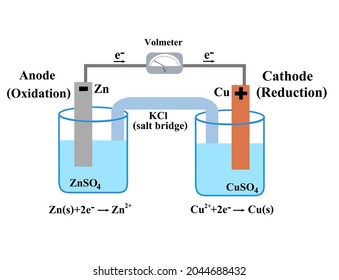 Voltaic galvanic cell or daniell cell.Redox reaction.Oxidation and reduction.Simple electrochemical.Salt bridge voltmeter, anode and cathode.Infographic for chemistry science.Vector illustration.