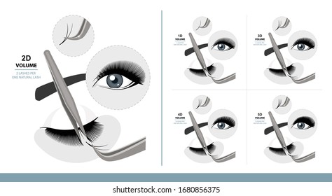 Volume Eyelash Extension for Most Attractive Look. Woman Eye with Long Thick Eyelashes. 1D - 5D Volume. Training Poster. Guide. Infographic Vector Illustration 